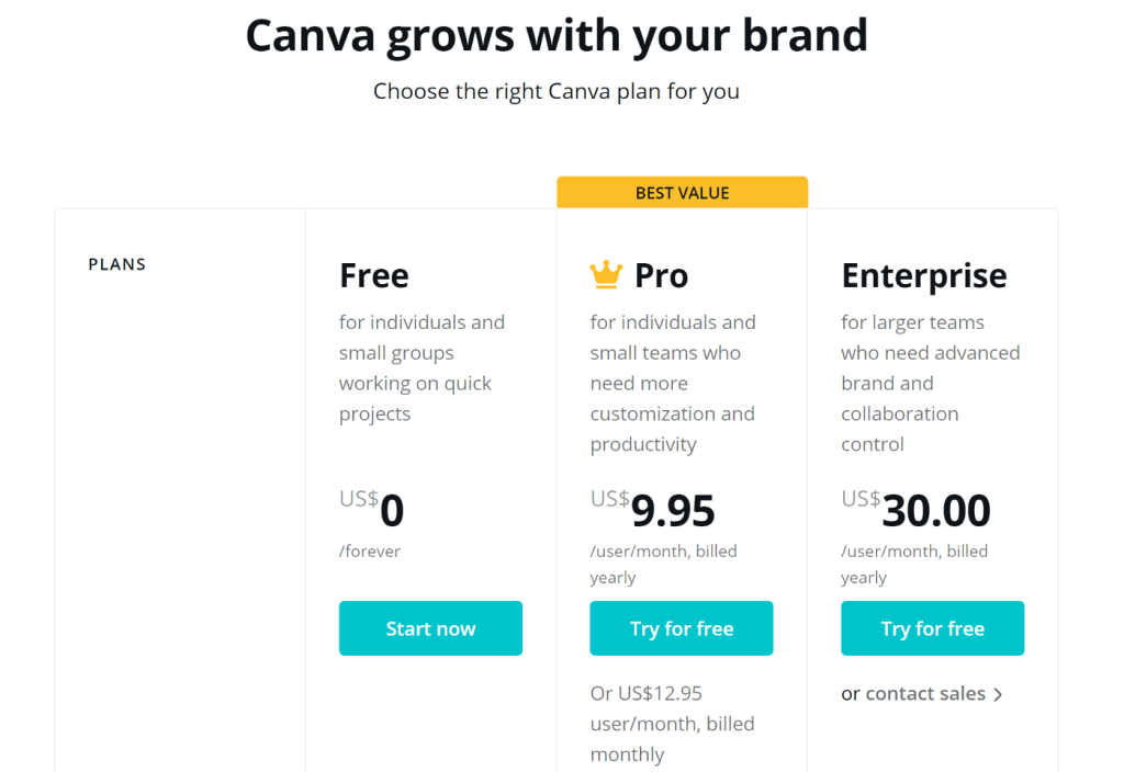 What is Canva Used For?