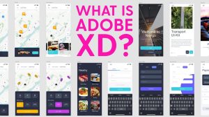 Read more about the article Adobe XD Free for Students: A Complete Review