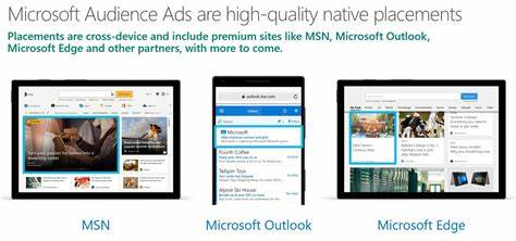 Microsoft Advertising Campaign Budget Tool